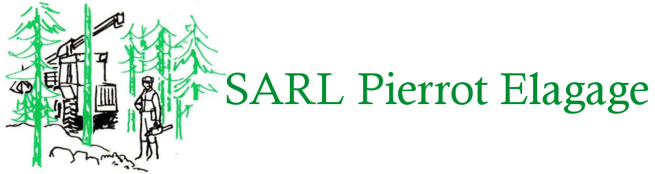 LOGO PIERROT ELAGAGE